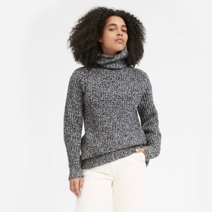 Everlane Italian Soft Wool Rib Turtleneck